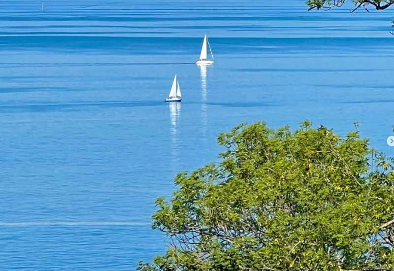 Rügen_Natur_ruhe